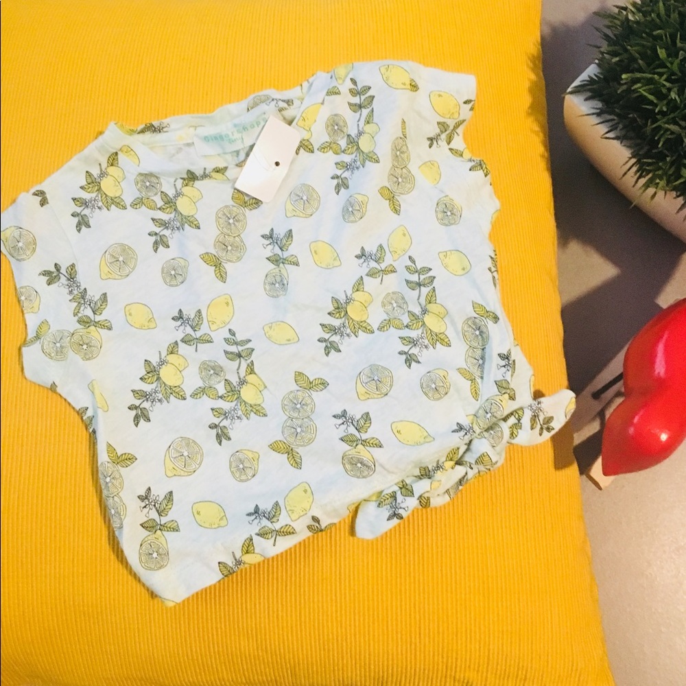 Gingersnap Lemon SET